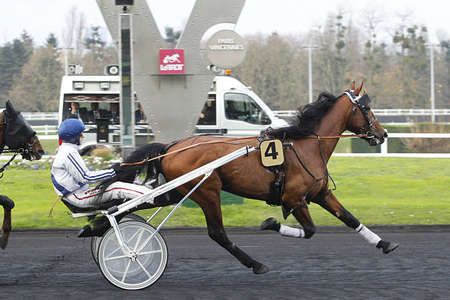 Actualités Hippiques